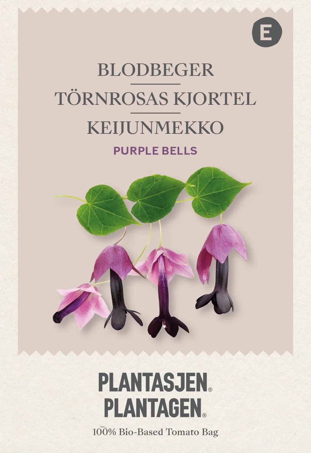 Blodbeger 'Purple Bells'