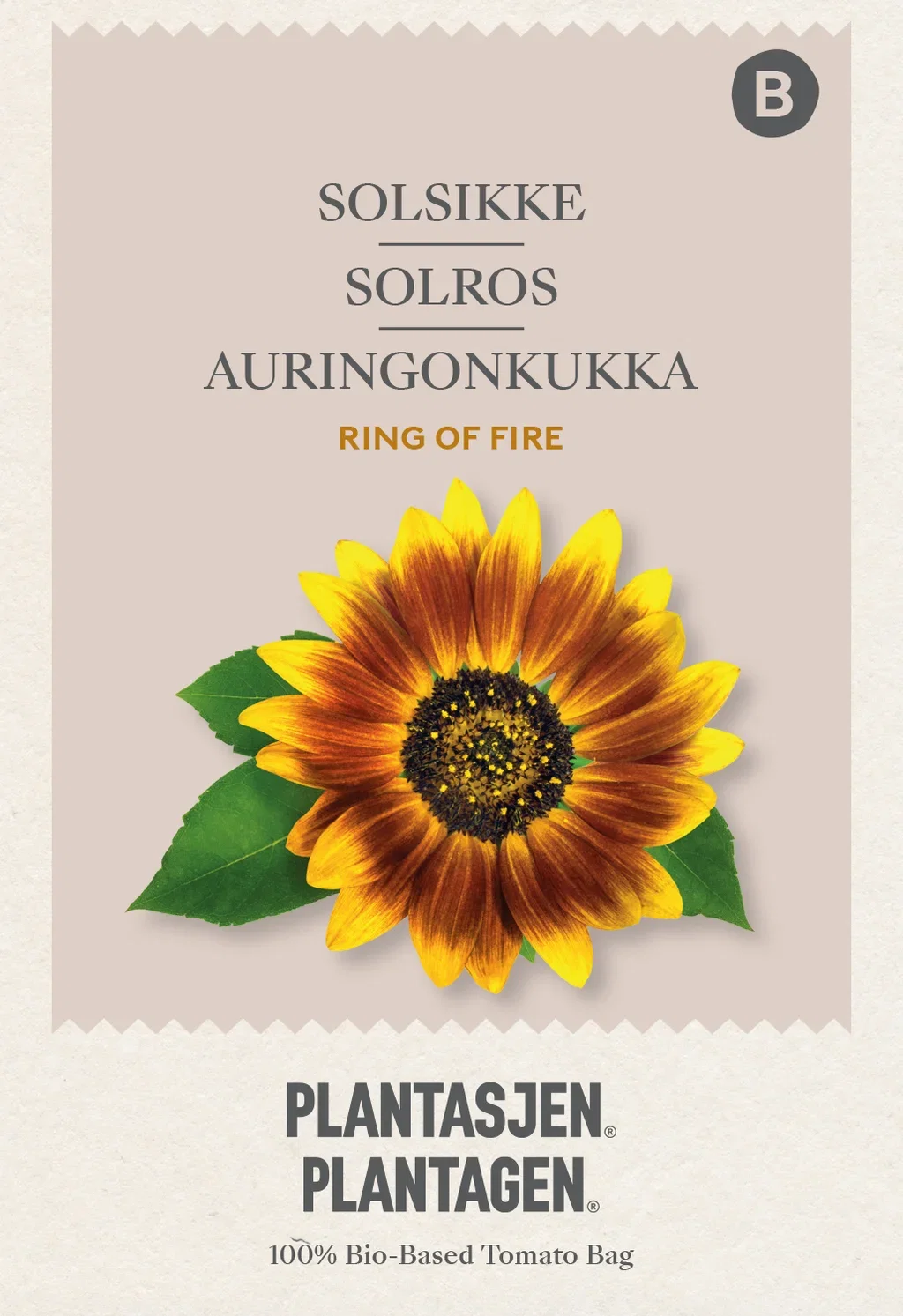 Solsikke 'Ring of Fire'