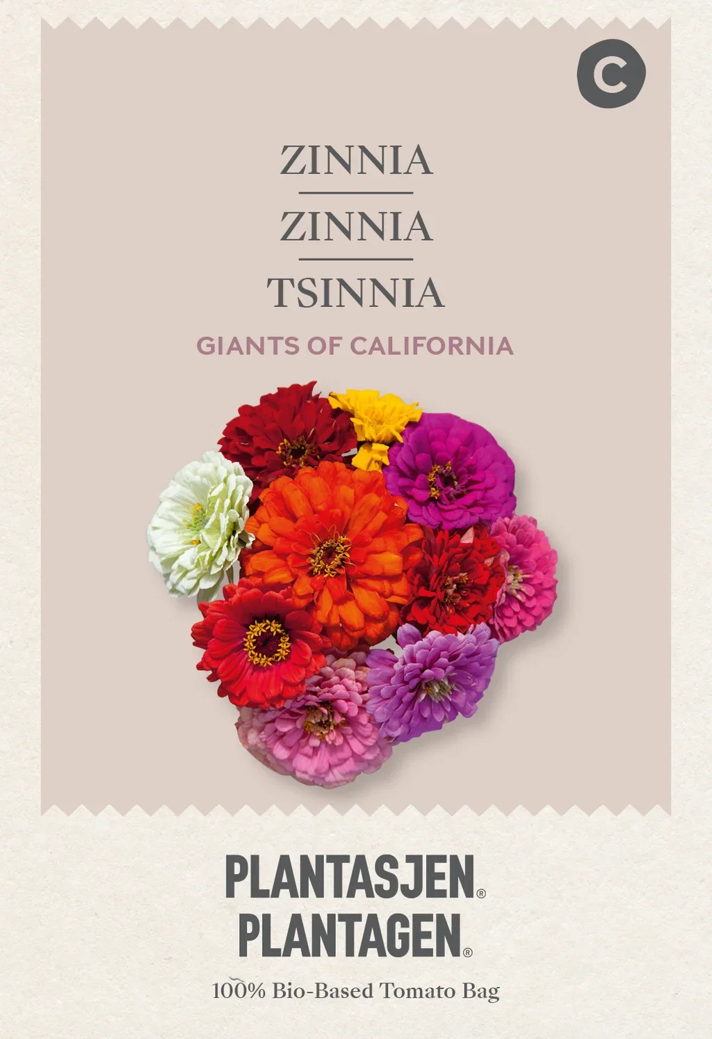 Zinnia 'Giants of California'