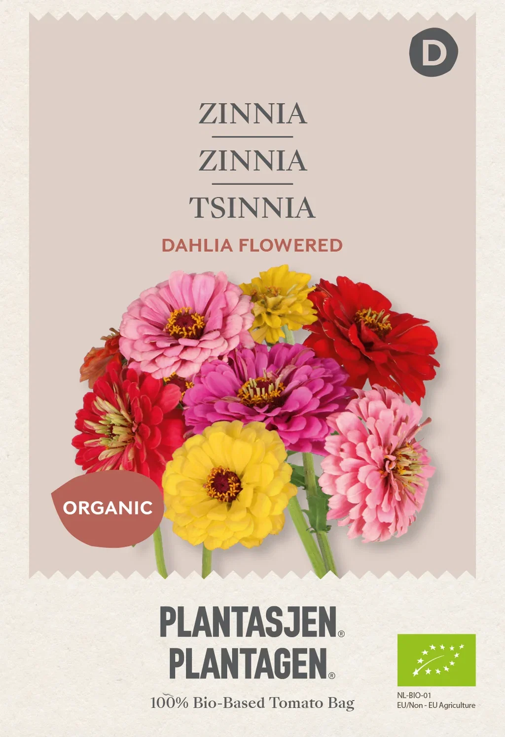 Zinnia 'Dahlia Flowered'