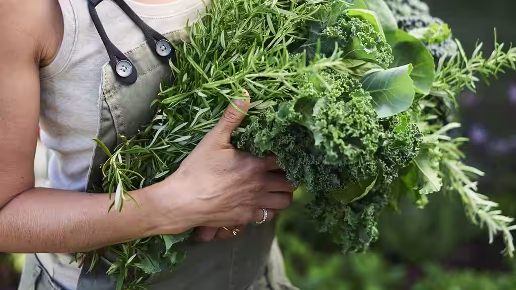 Hurtigvoksende grønnsaker og blomster – dyrking i siste liten