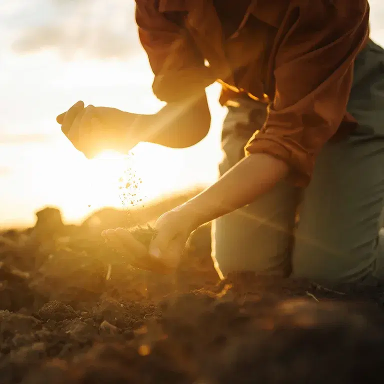 Så på høsten – forleng sesongen