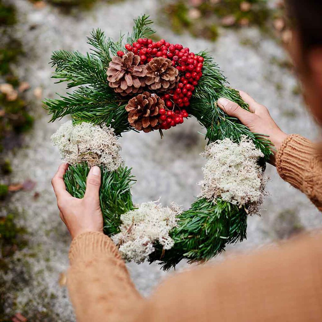 Image of Gravkranser