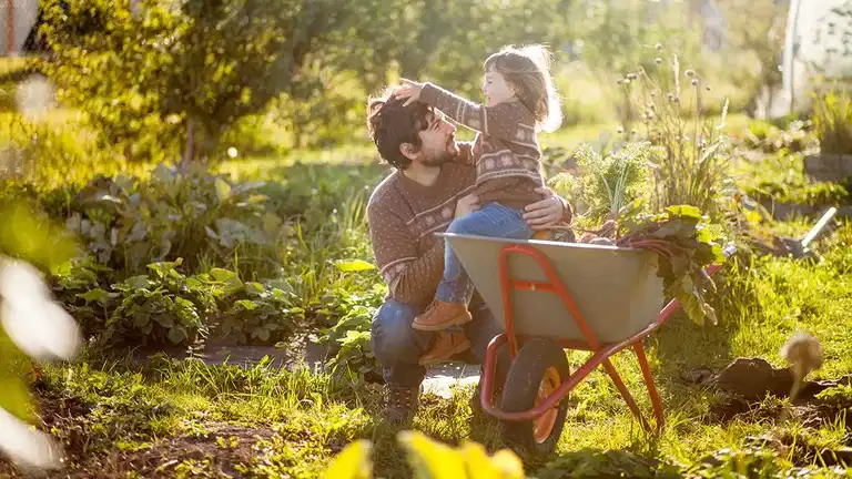 September - this is how you sow and grow