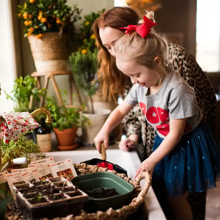 December - this is what you can sow and cultivate