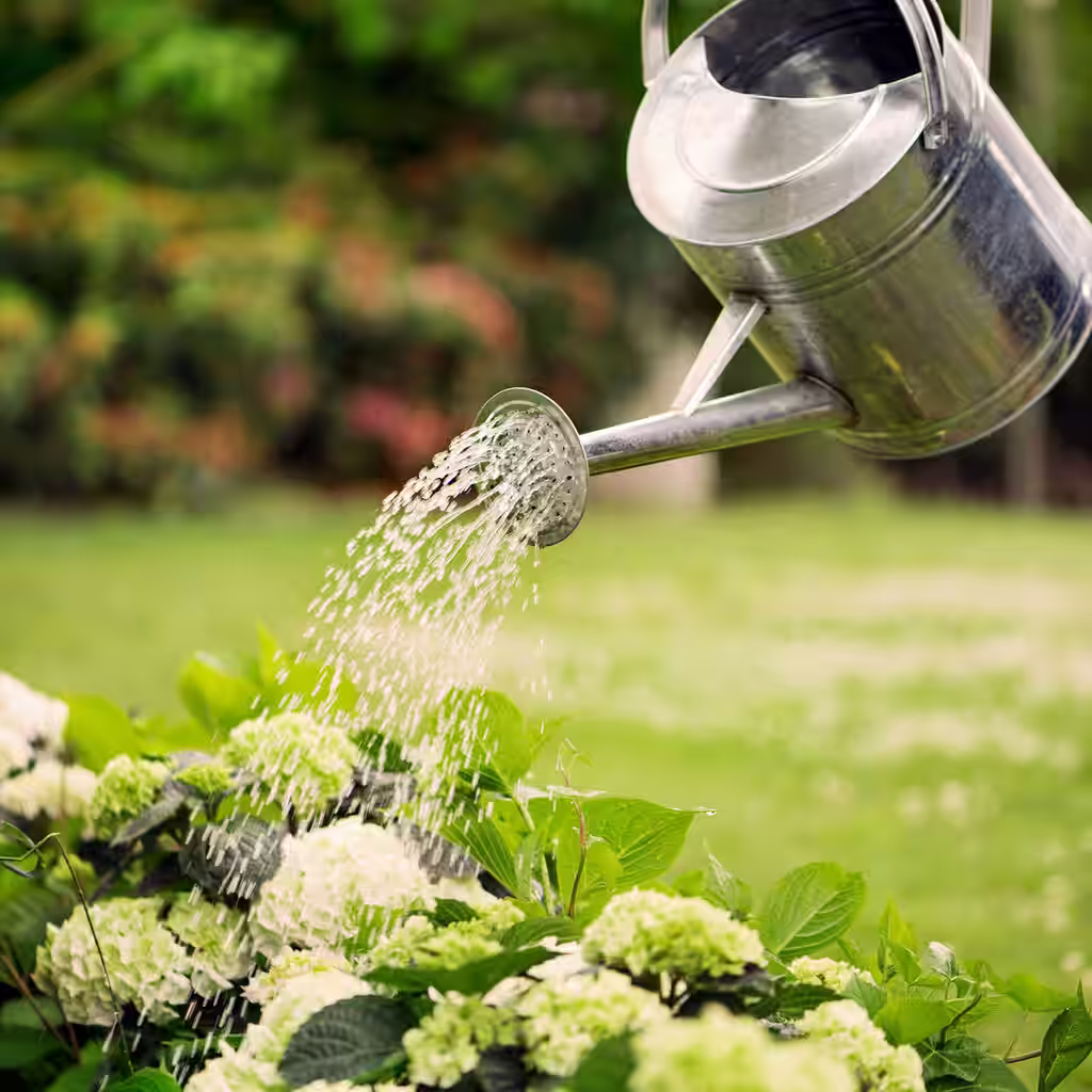 Slik forbereder du hagen til ferien