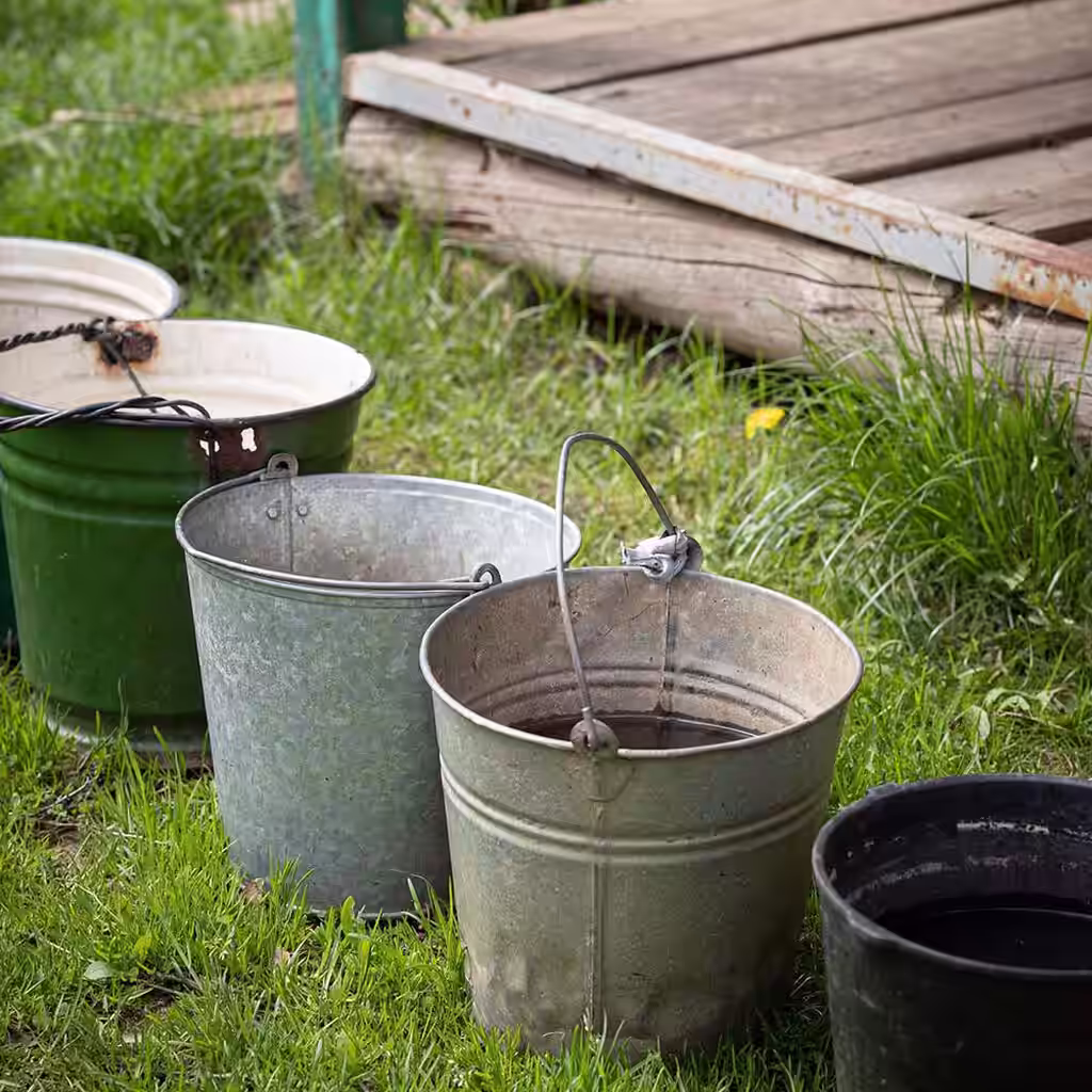 Vanningsforbud – slik får du plantene til å overleve