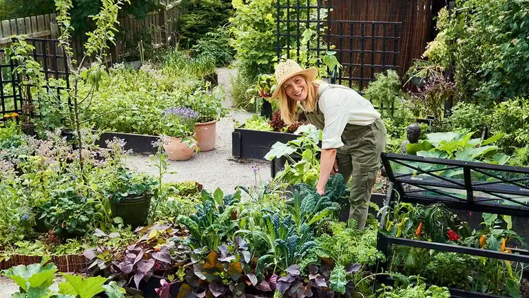 August - this you can sow and cultivate