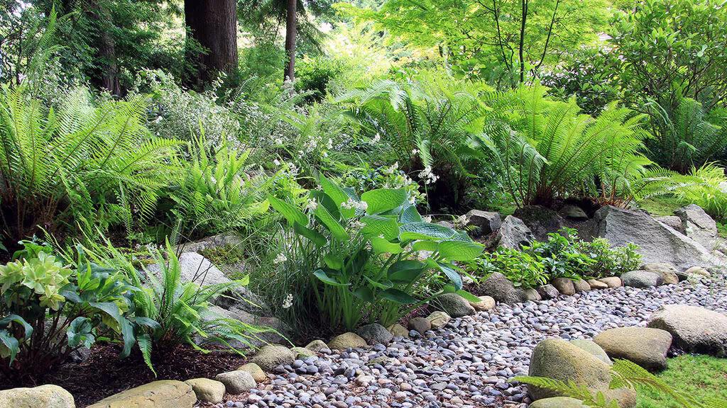 Woodland – ta skogen inn i hagen