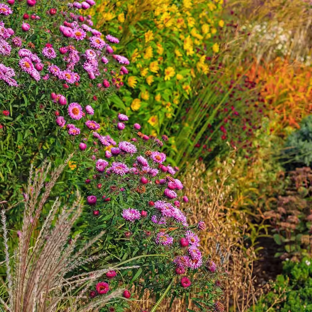 Forleng sommeren i hagen