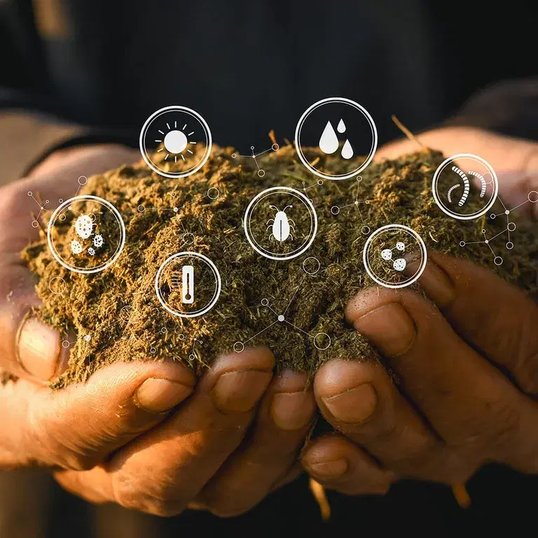 Mikroliv – hagens minste medhjelper