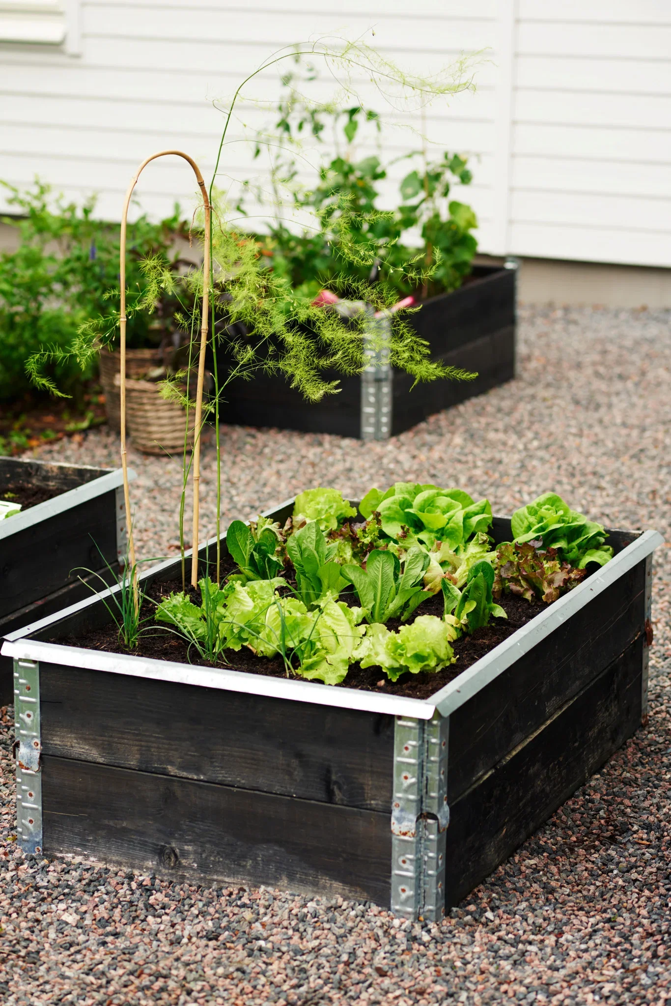 Sneglestopper til pallekarm