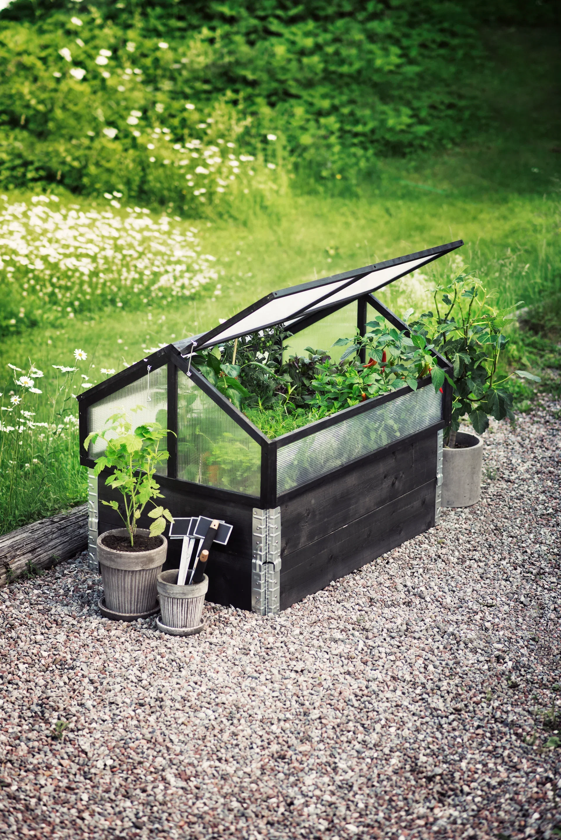 Planteetikett Tyra med tavle