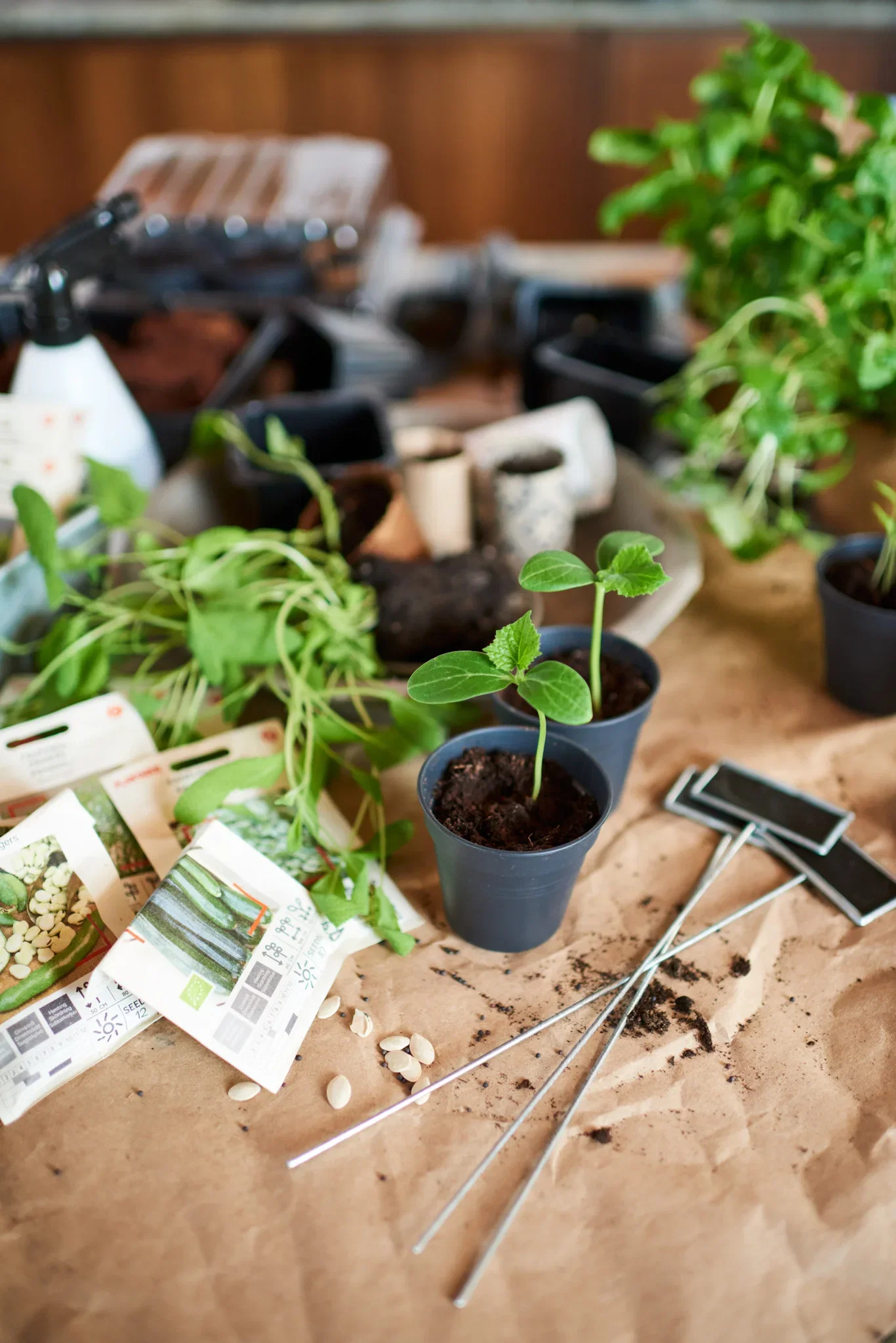 Planteetikett Tyra med tavle