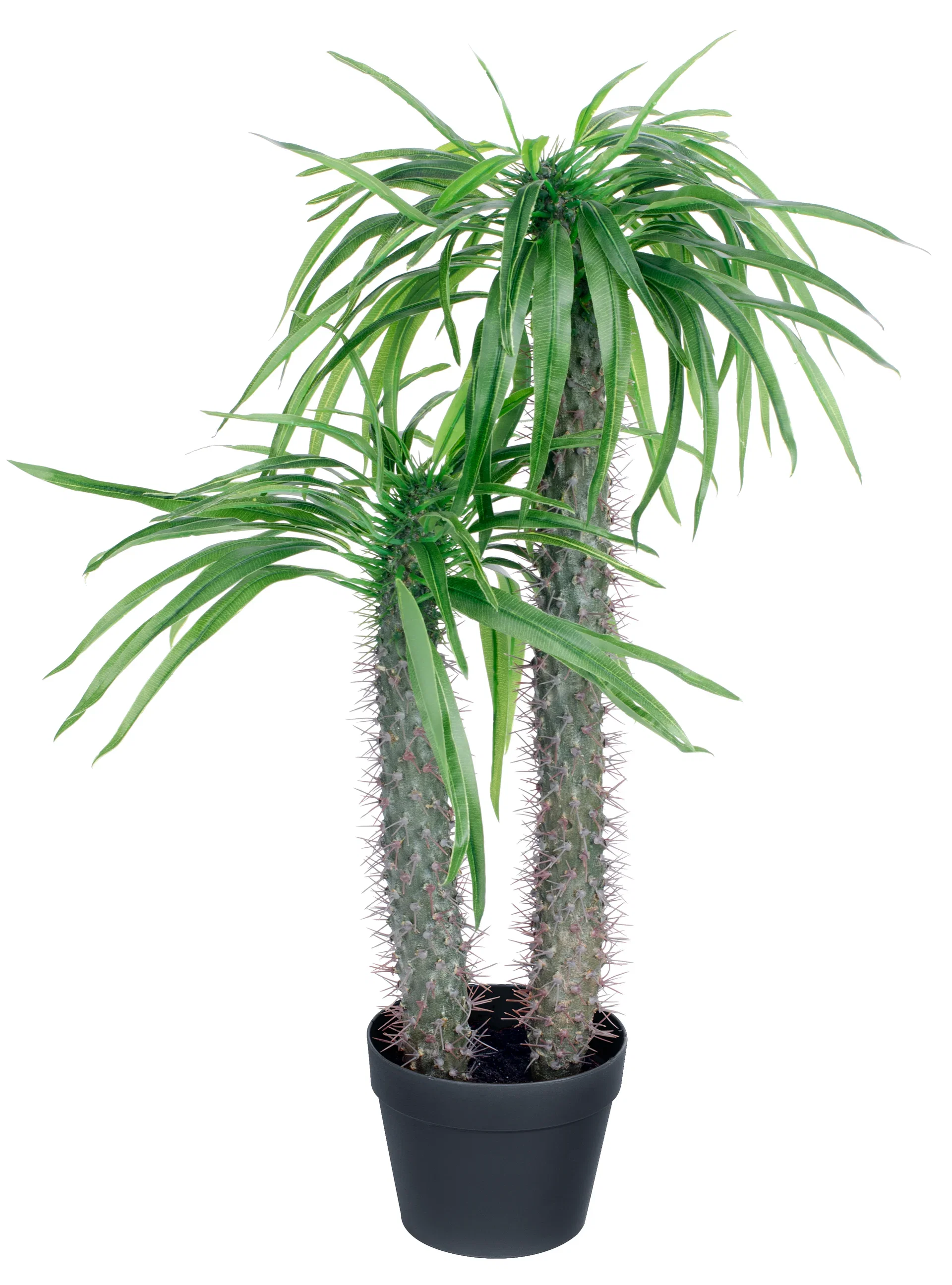 Madagaskarpalme kunstig