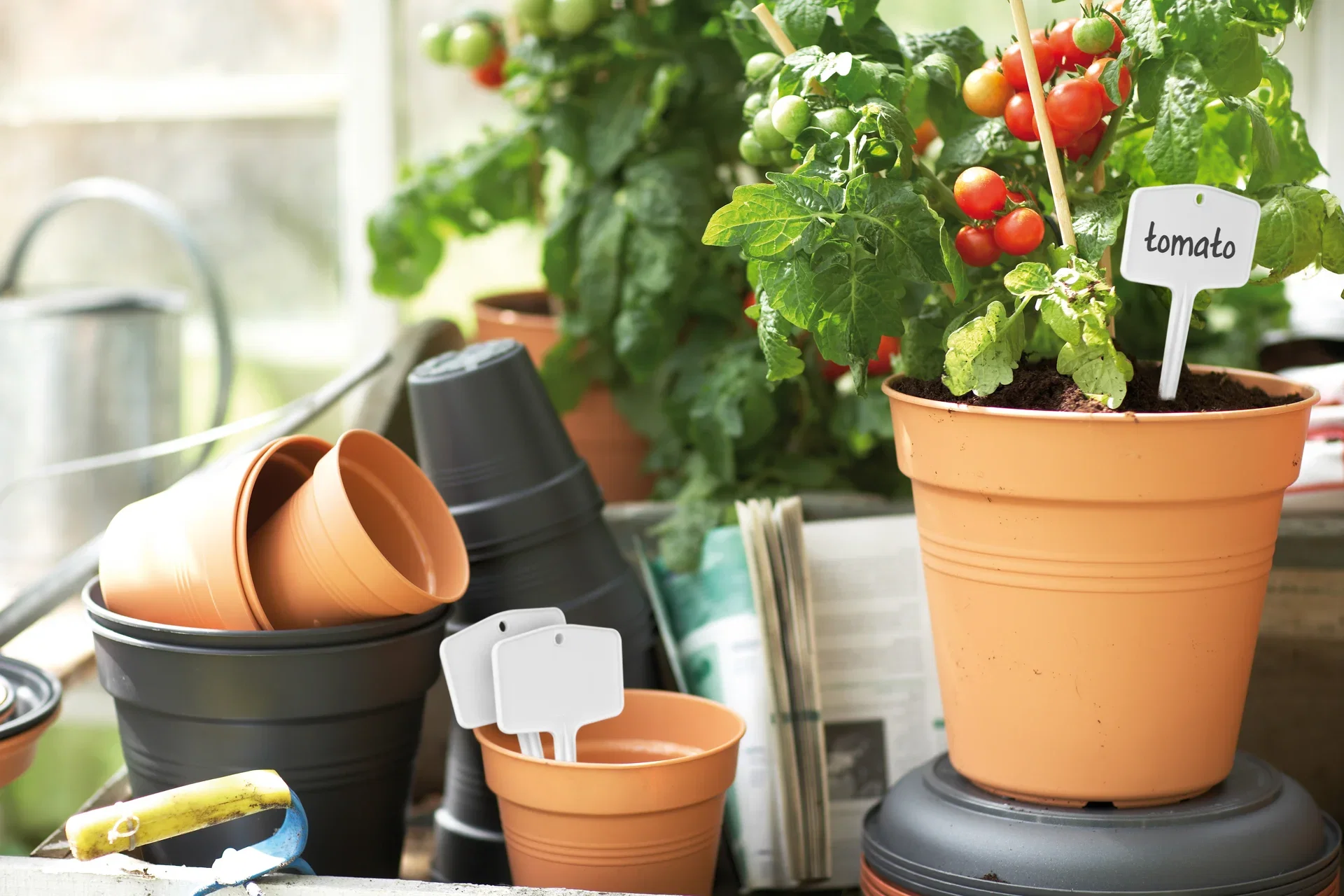 Green basics plantlabels M, 5p