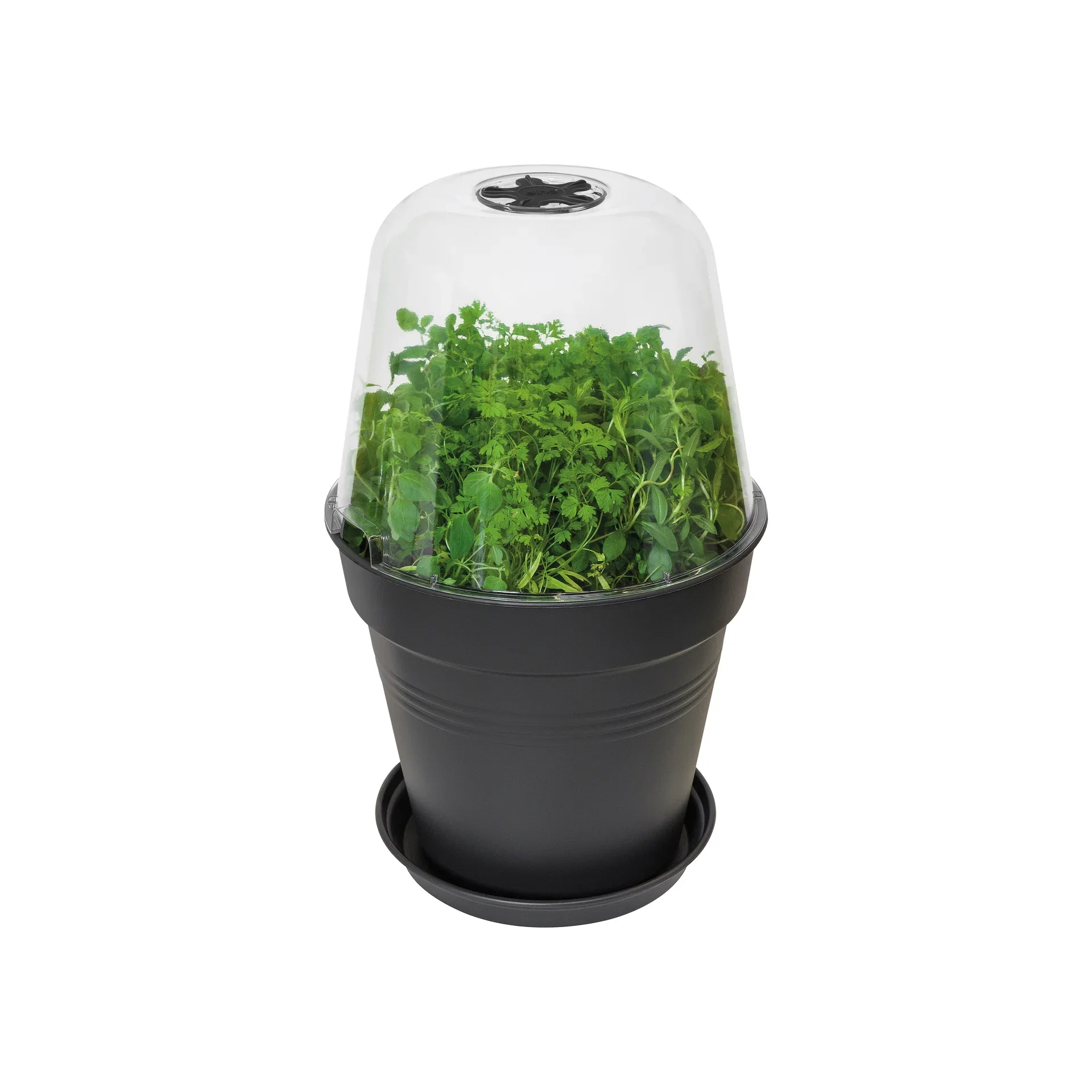 Kultiveringslokk Green Basics, rund