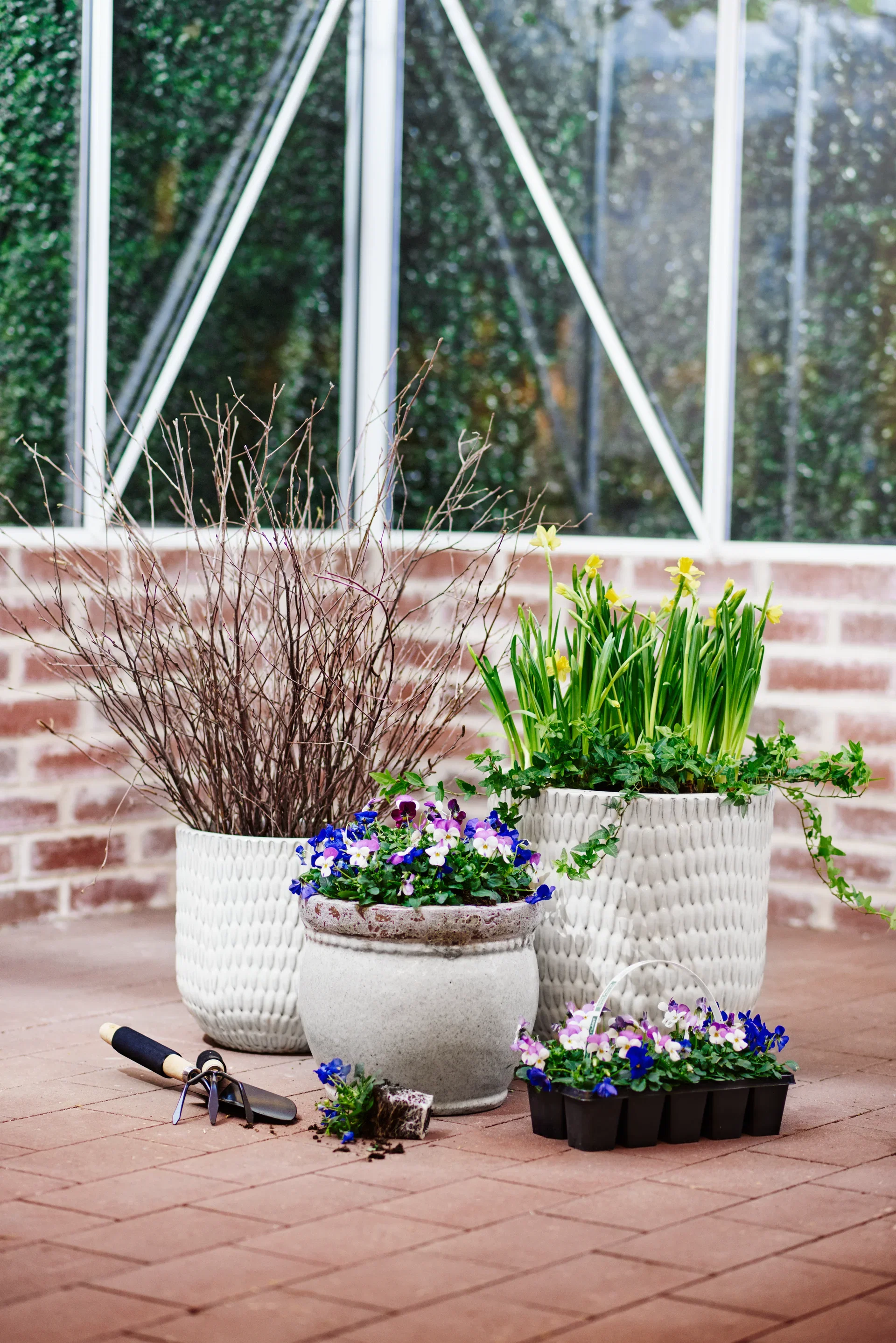 Viola small fl. Romantic G. 10-pack