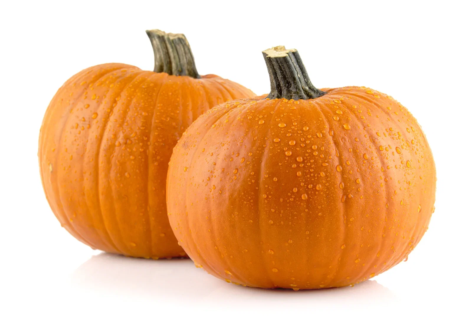 Cucumis Pumpkin 'Rouge vif D'Etempe' box 14 cm