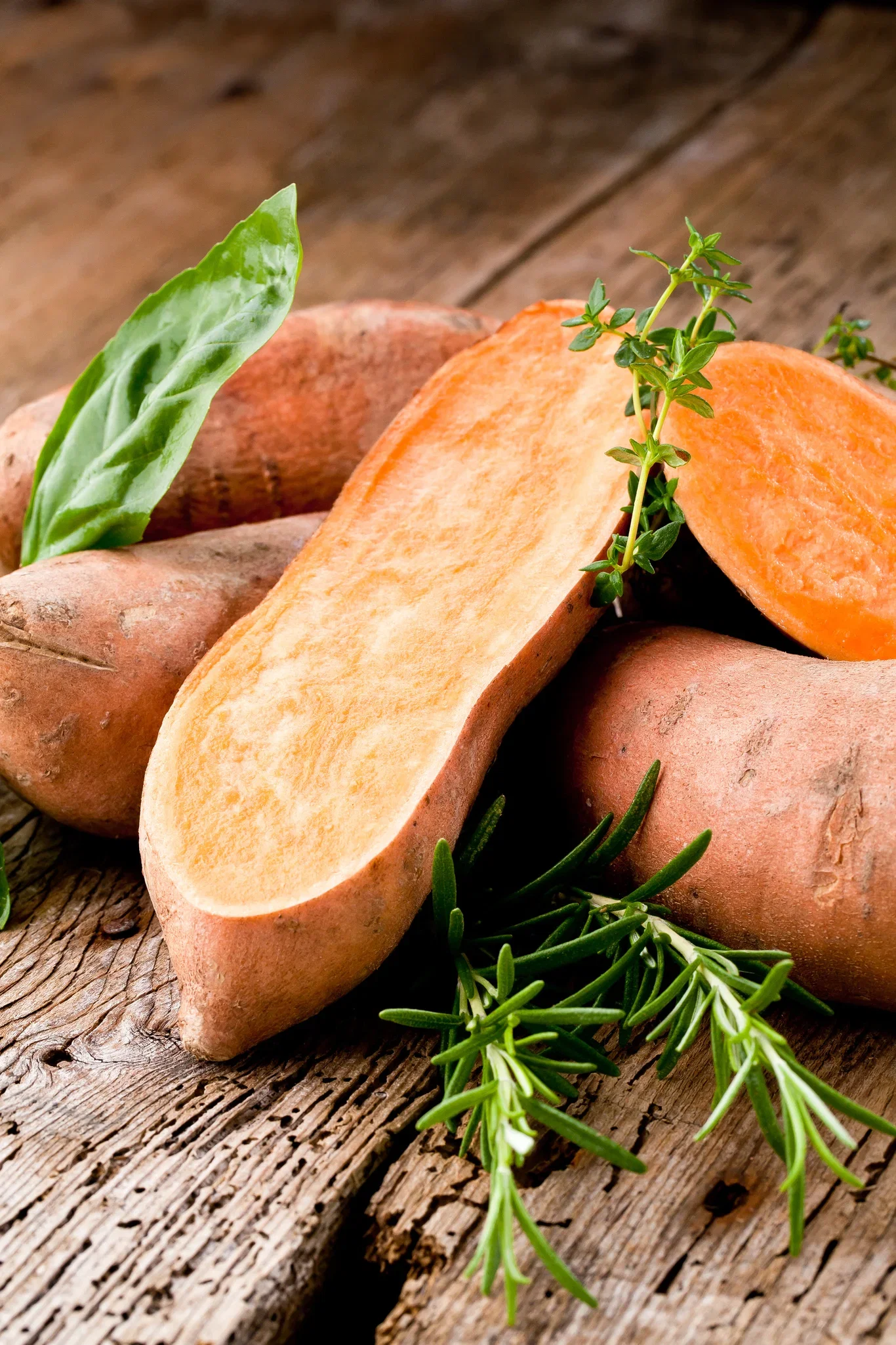 Ipomoea batat 'Sweet potato' 12 cm