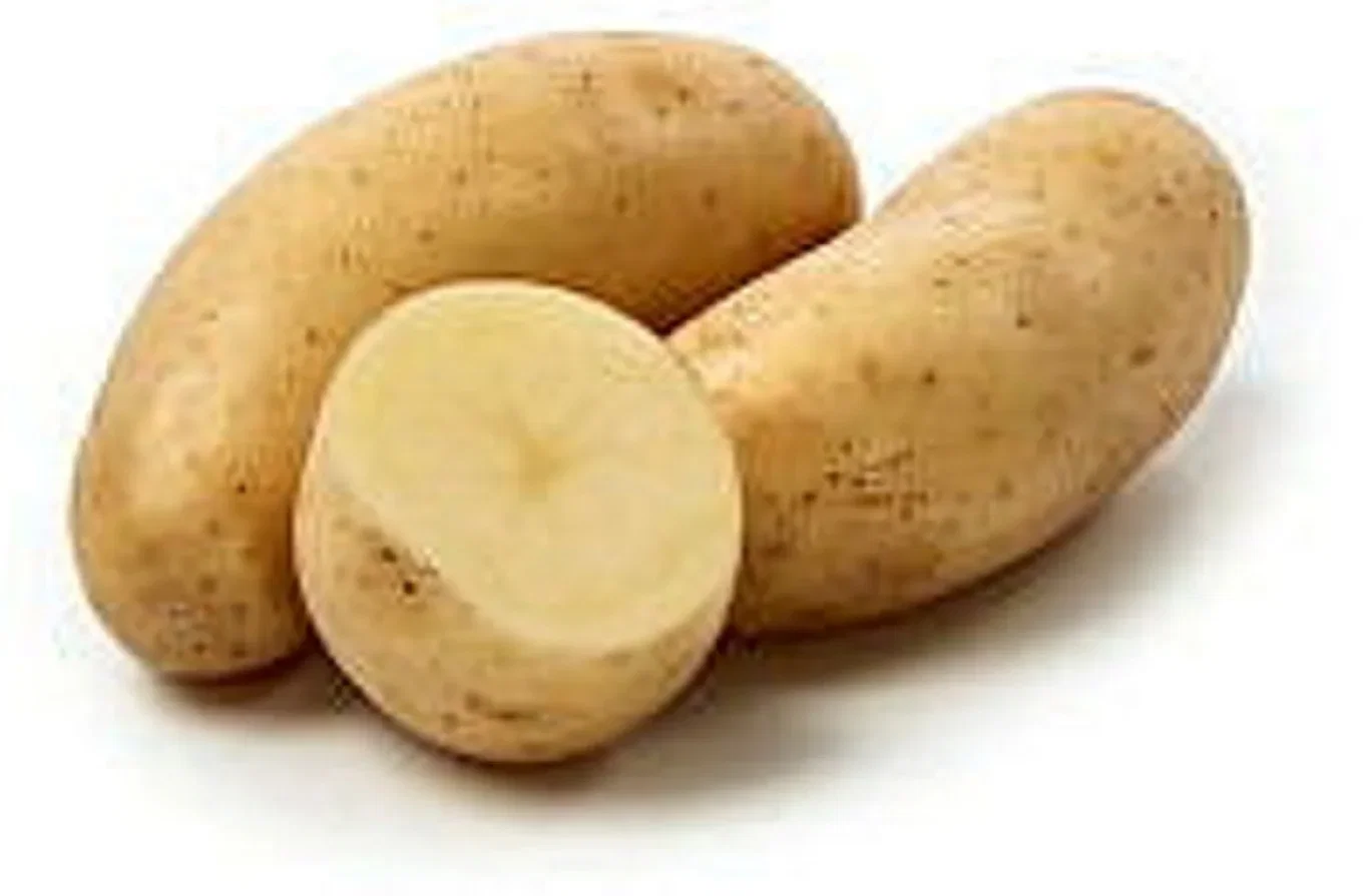 Settepotet 'Amandine'