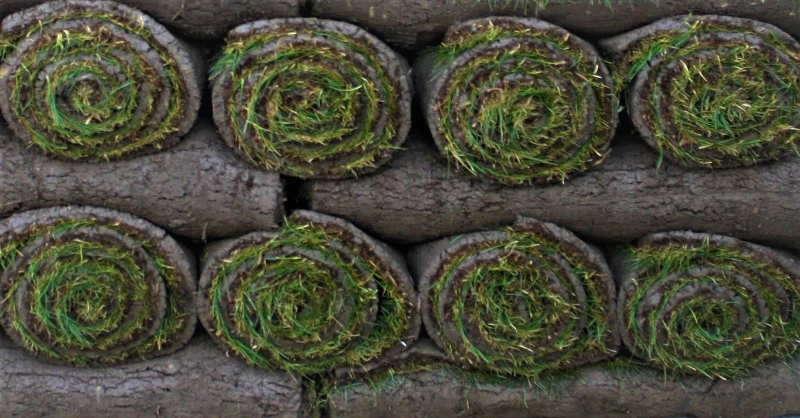 Ferdigplen - bestill og hent i butikk