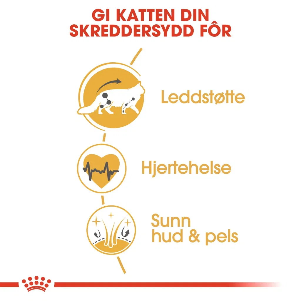 Royal Canin Maine coon Adult