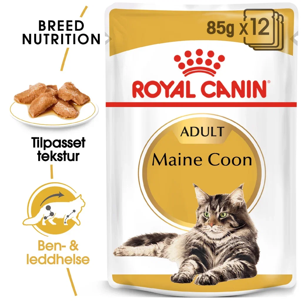 Royal Canin Maine coon Adult