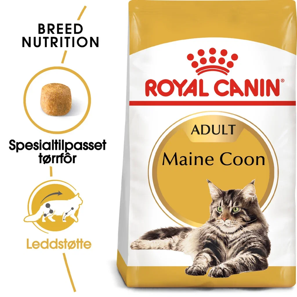 Royal Canin Maine coon Adult