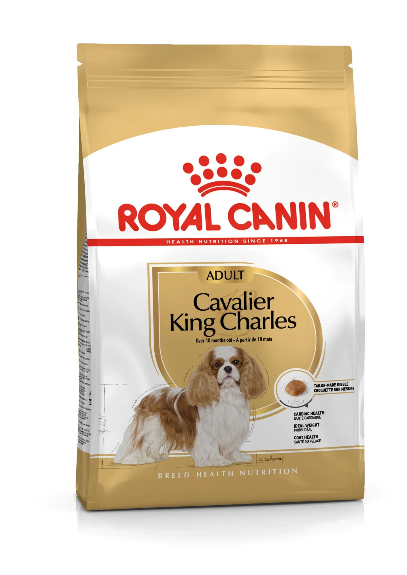 Cavalier King Charles Adult 1,5 kg