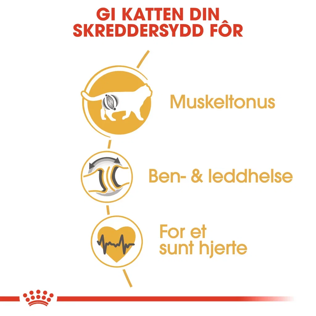 British Shorthair Adult 2 kg