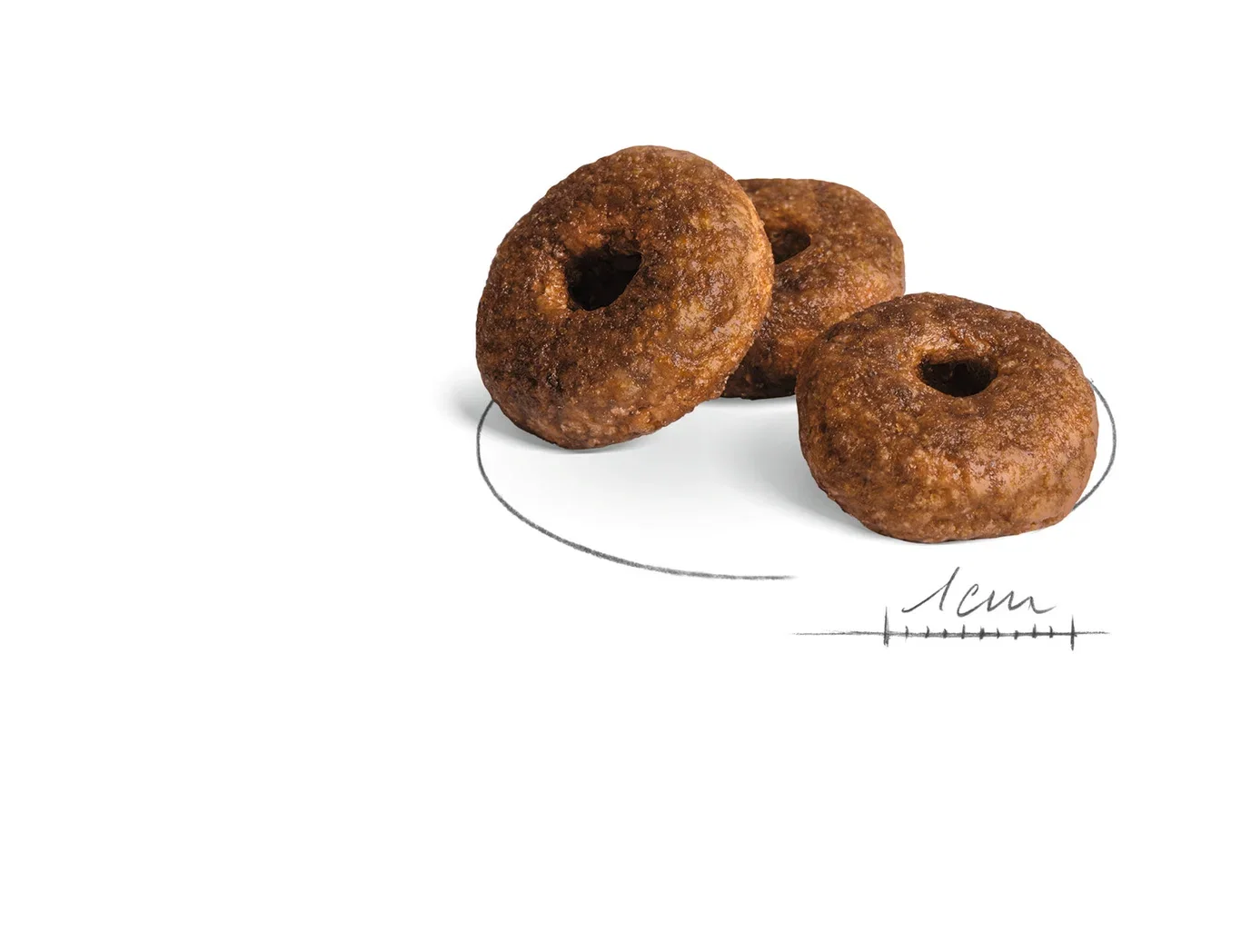 MEDIUM Ageing 10+ 15 kg