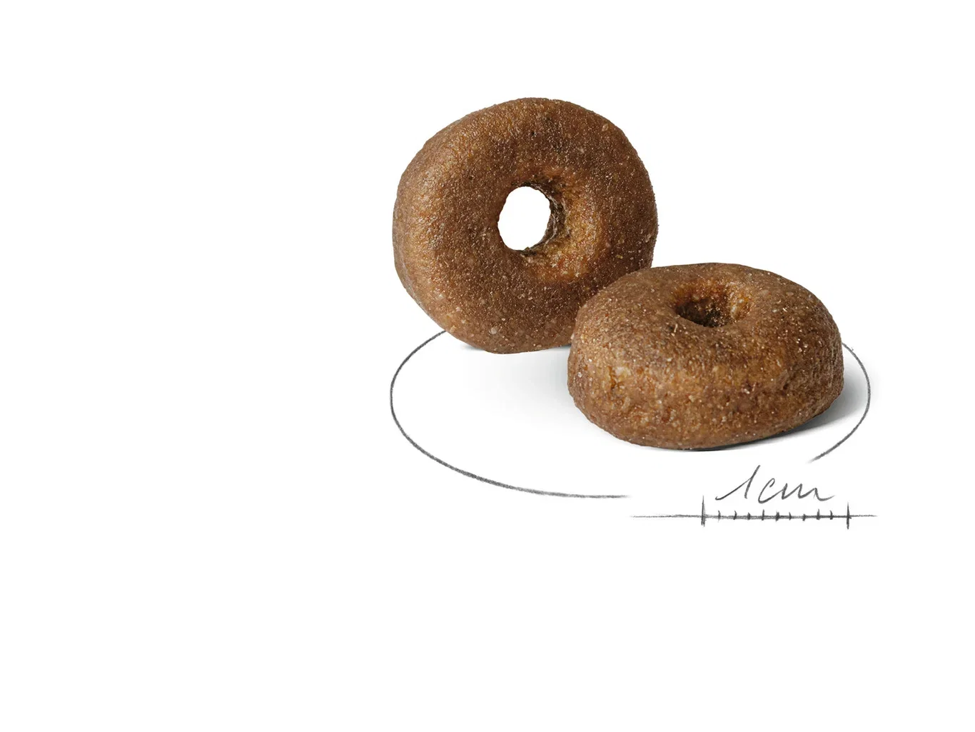 Royal Canin Maxi Ageing 8+