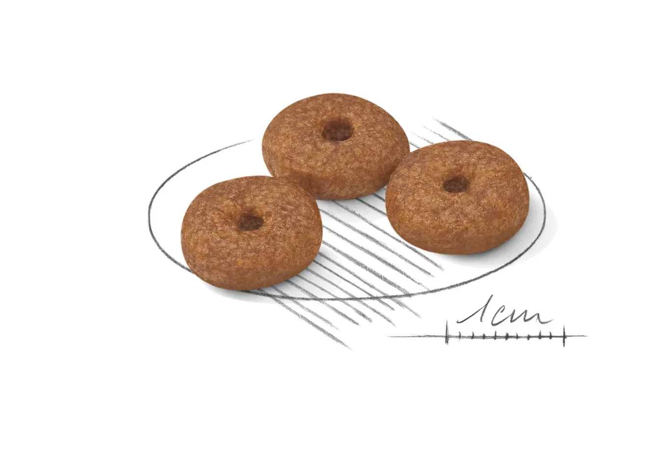 Royal Canin Mini Ageing 12+