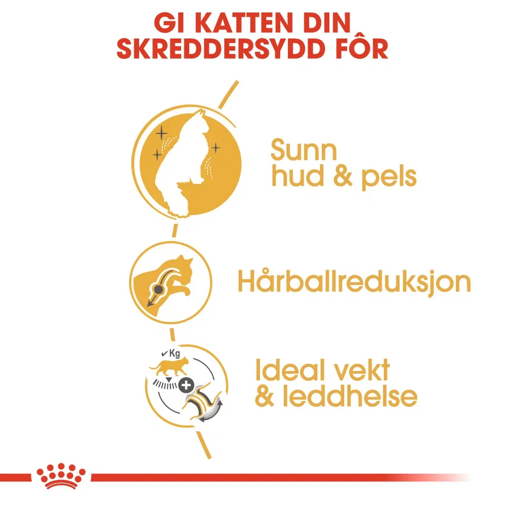 Norwegian Forest Cat Adult 2 kg