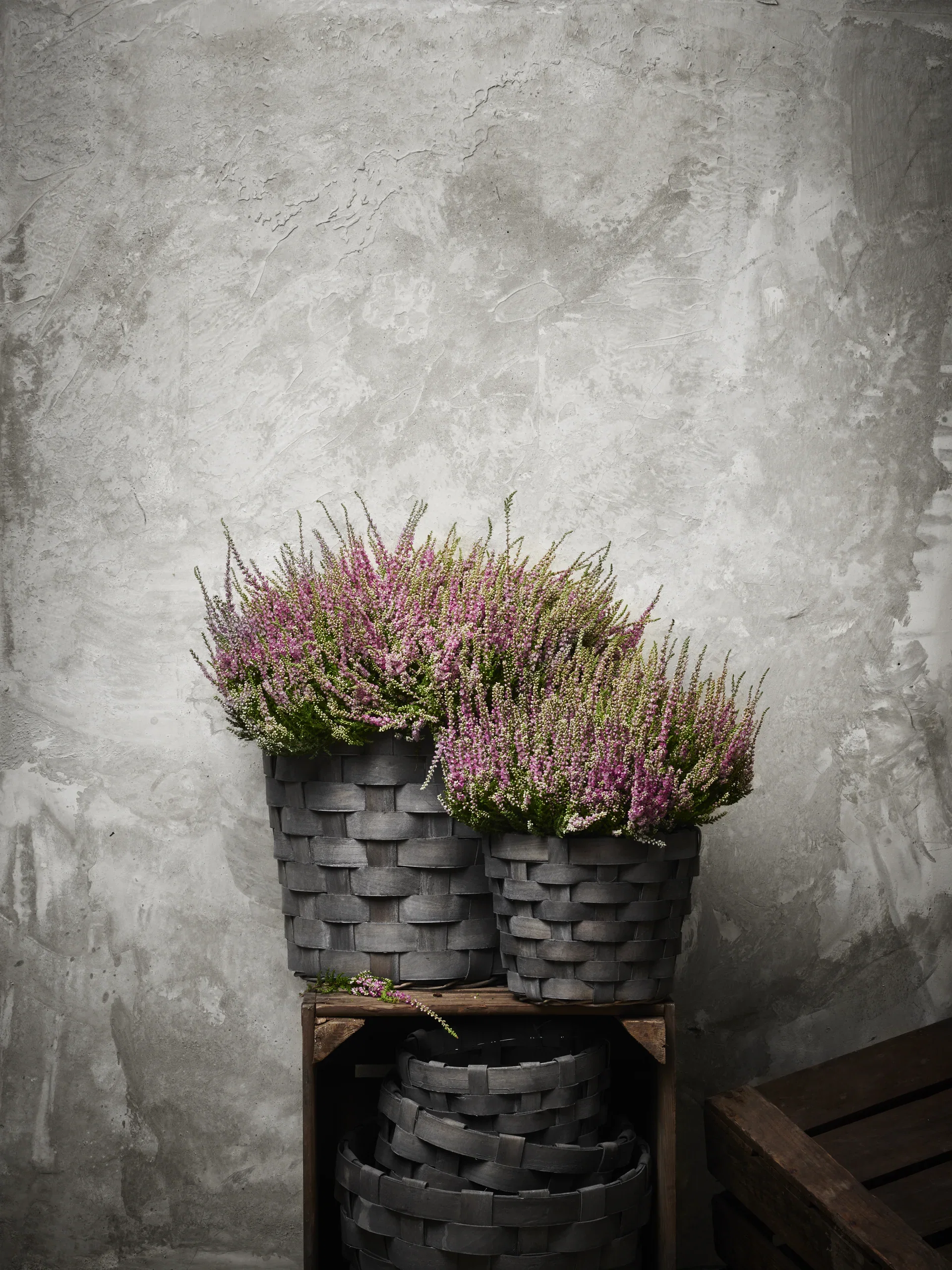 Røsslyng Garden Girls