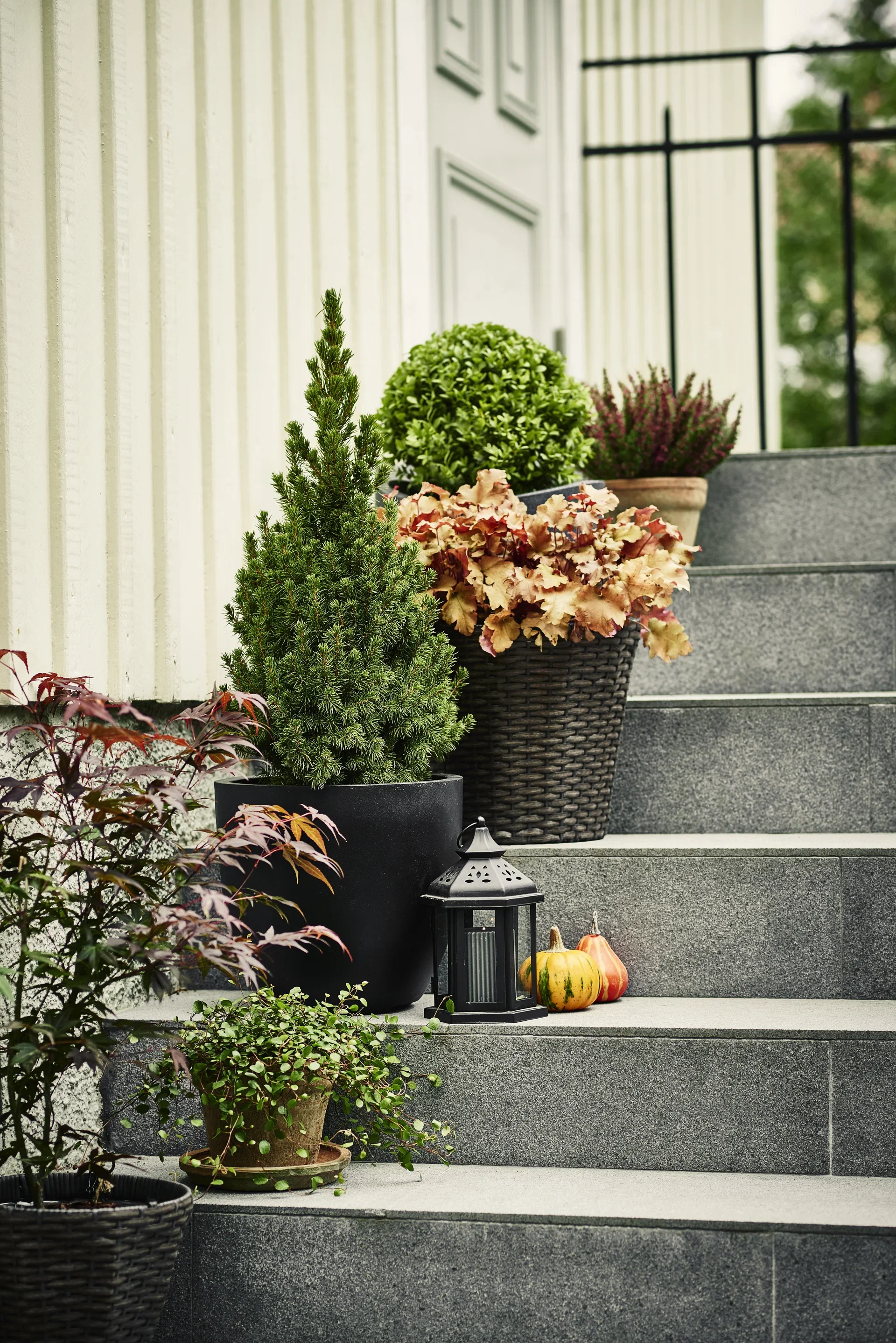 Røsslyng Garden Girls