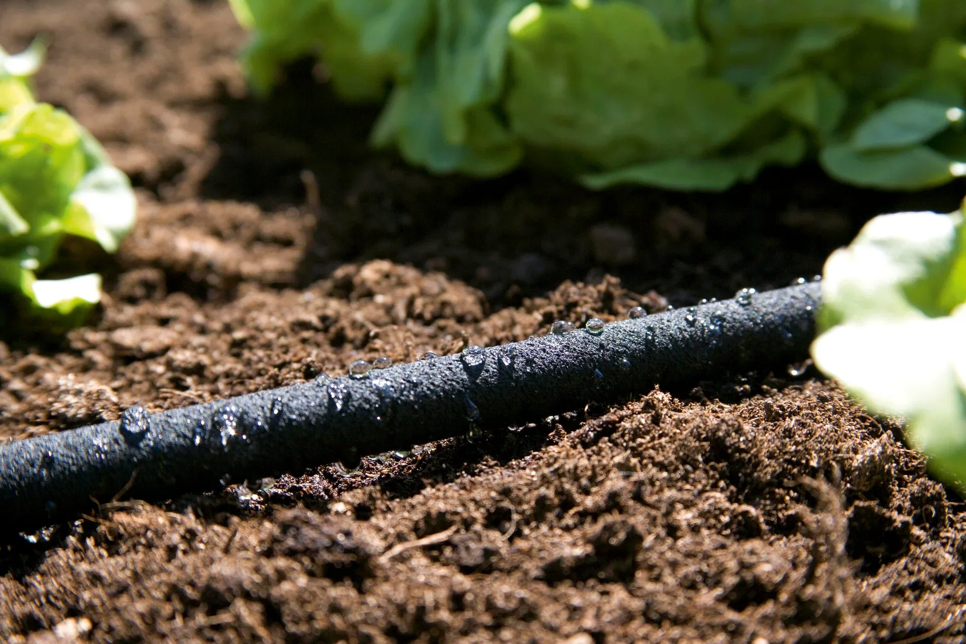 Svetteslange Gardena