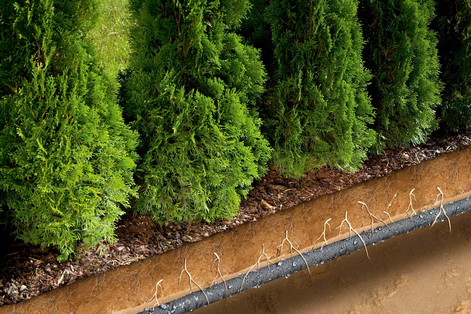 Svetteslange Gardena