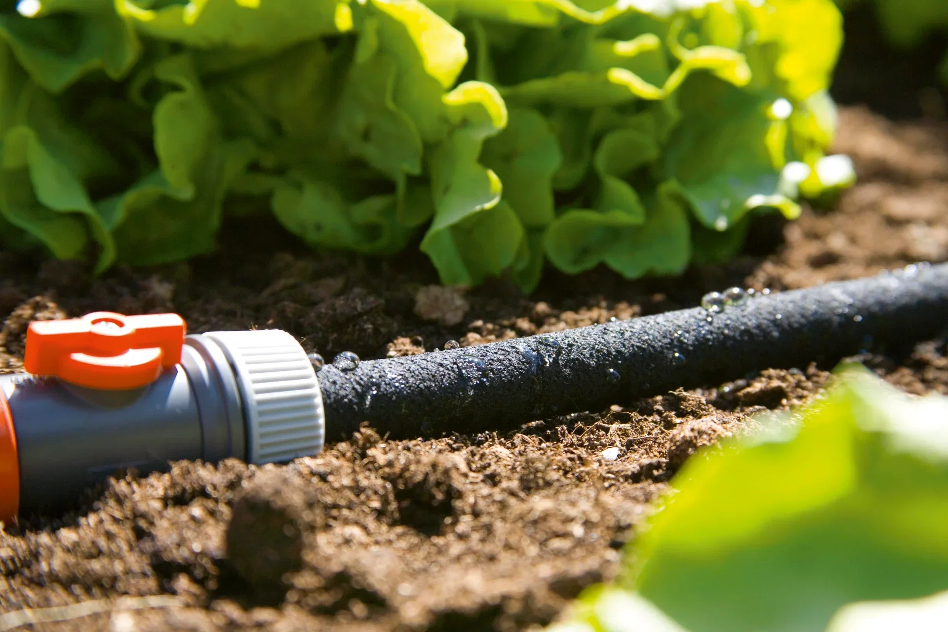 Svetteslange Gardena