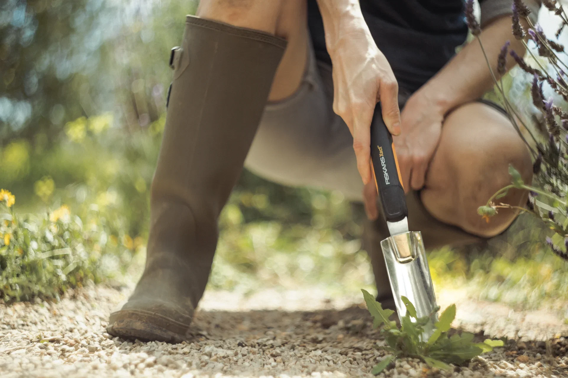 Løvetannstikker Xact