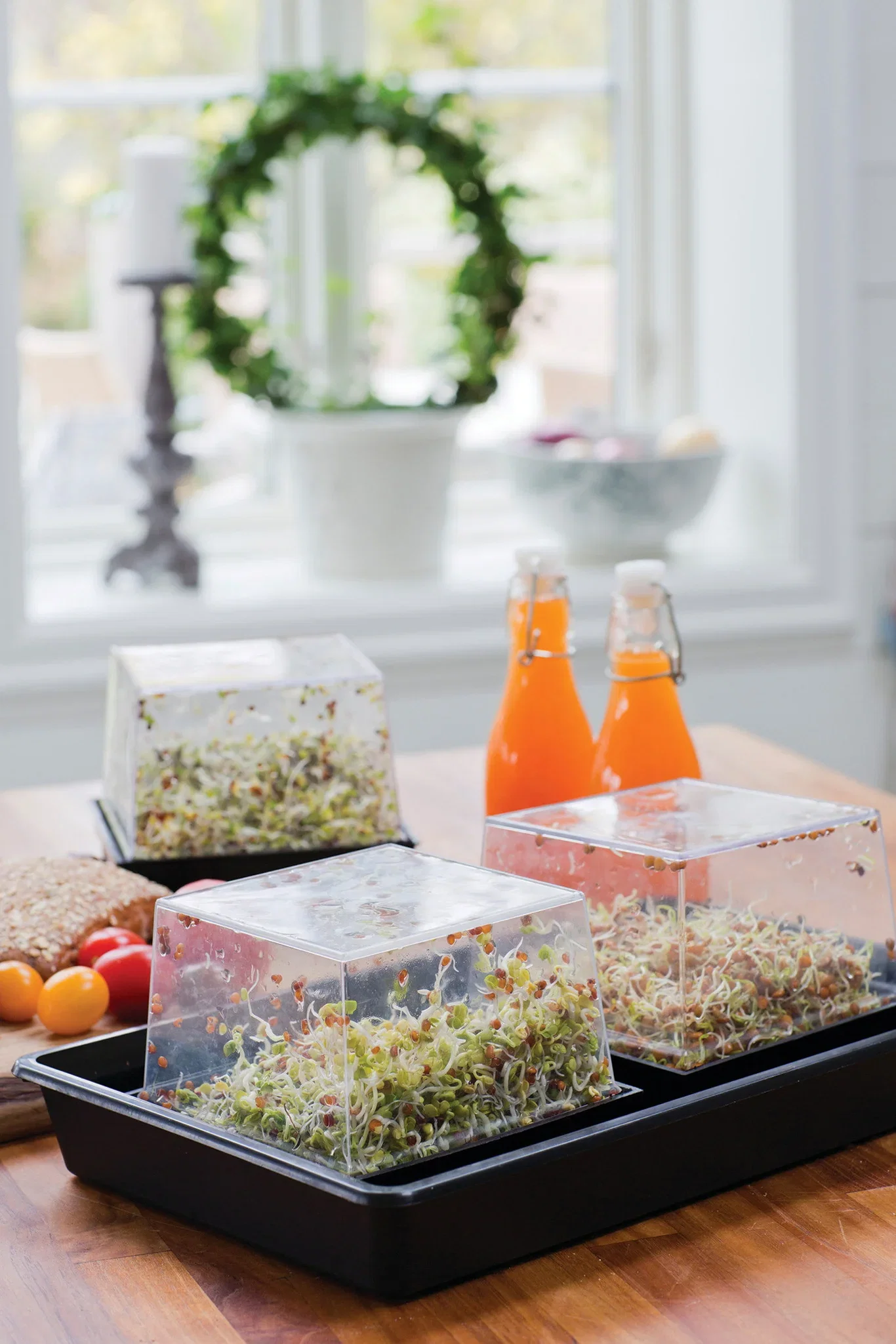 Primo Vitamino, Groddbox