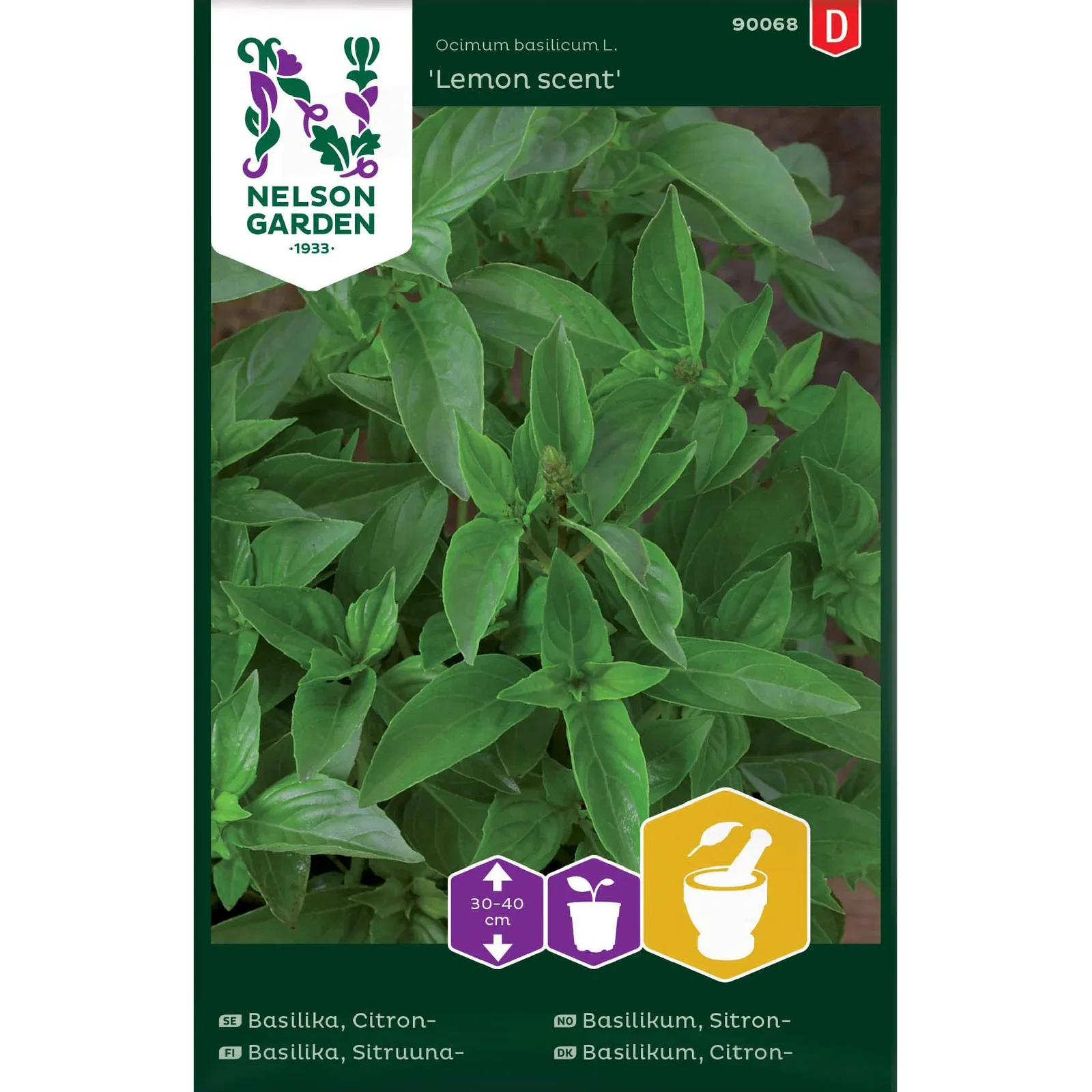 Basilika, Citron-, Lemon scent