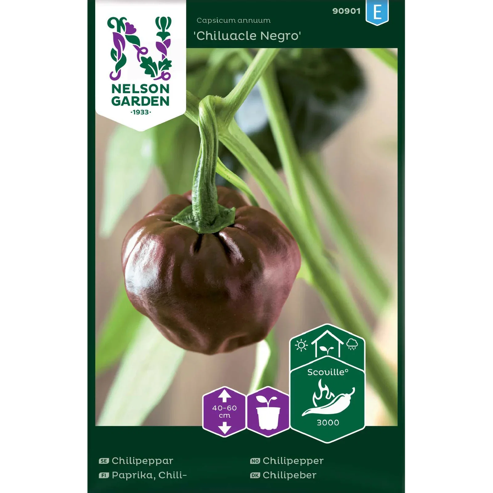 Chilipeppar, Chiluacle Negro