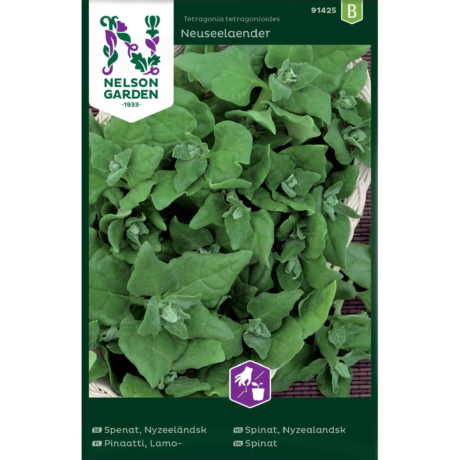 Nyzealandsk spinat 'Neuseelaender'