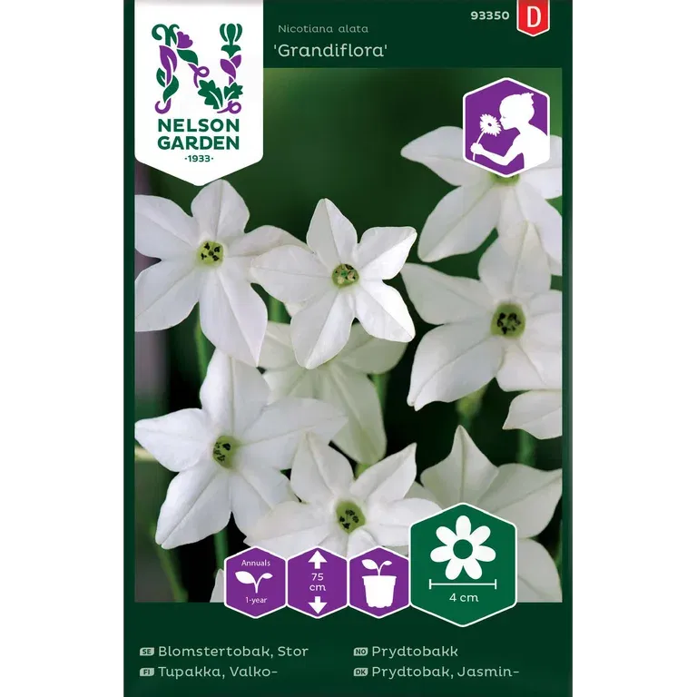 Prydtobakk 'Grandiflora'