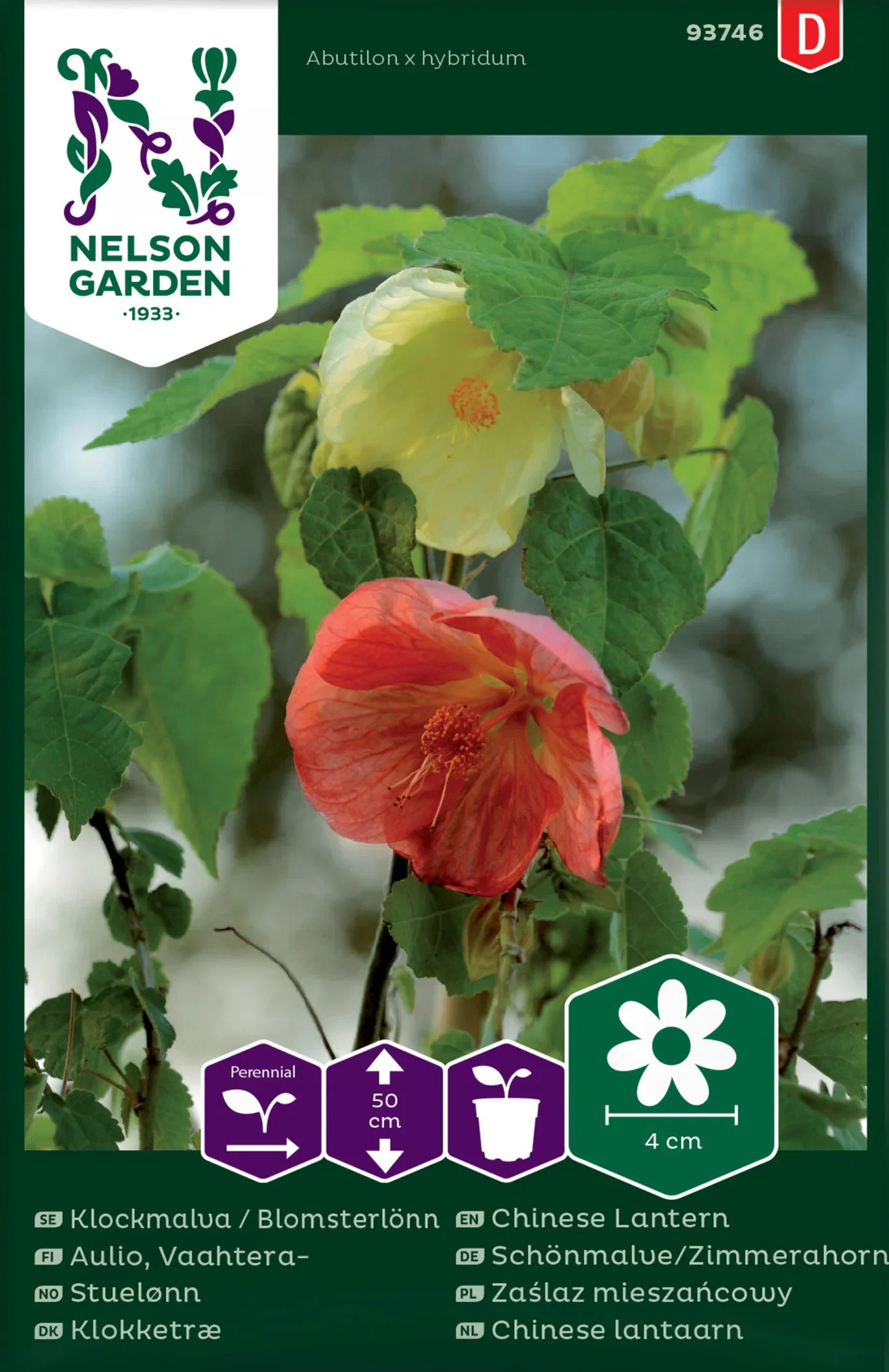 Klockmalva / Blomsterlönn, bl färger