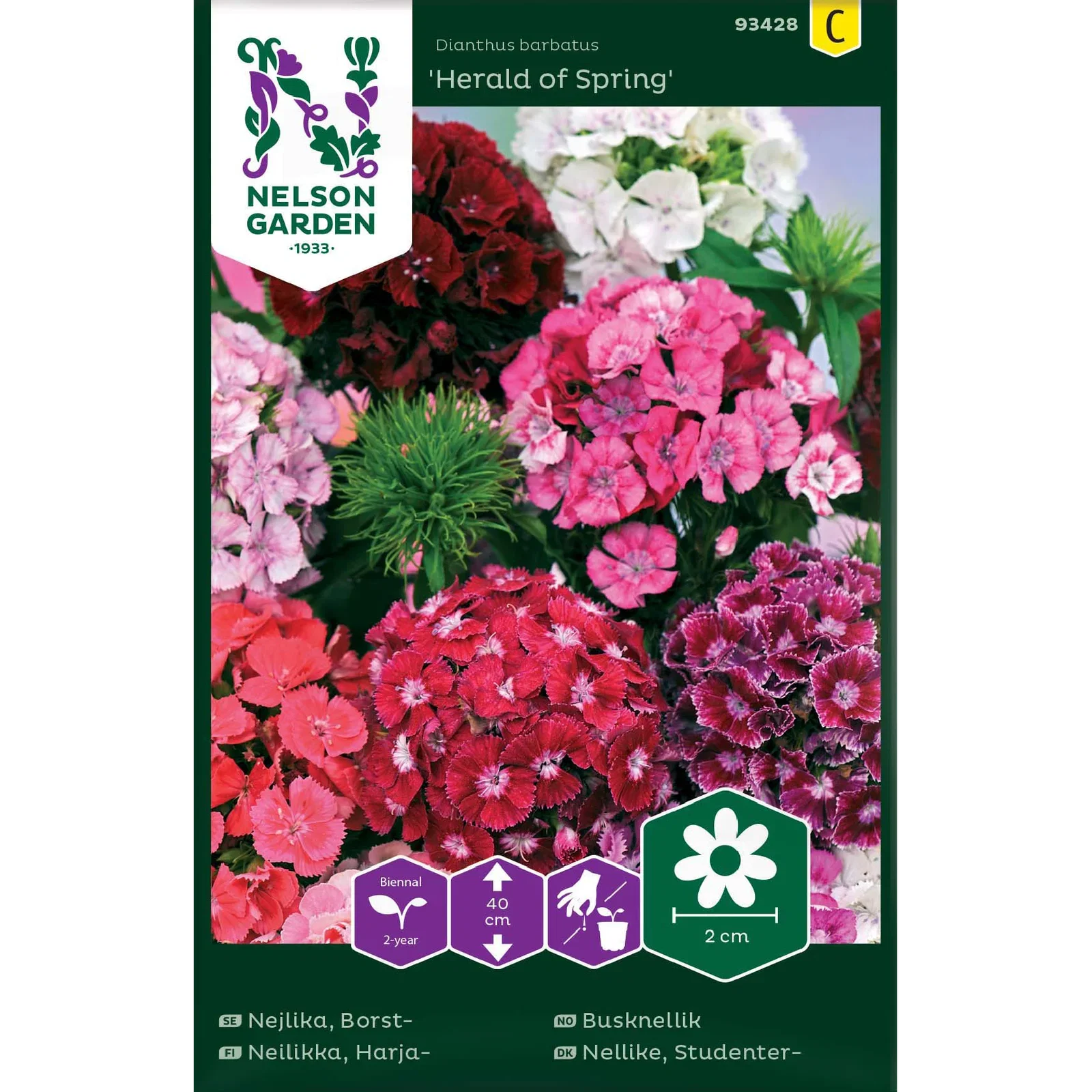 Nejlika, Borst-, Herald of Spr