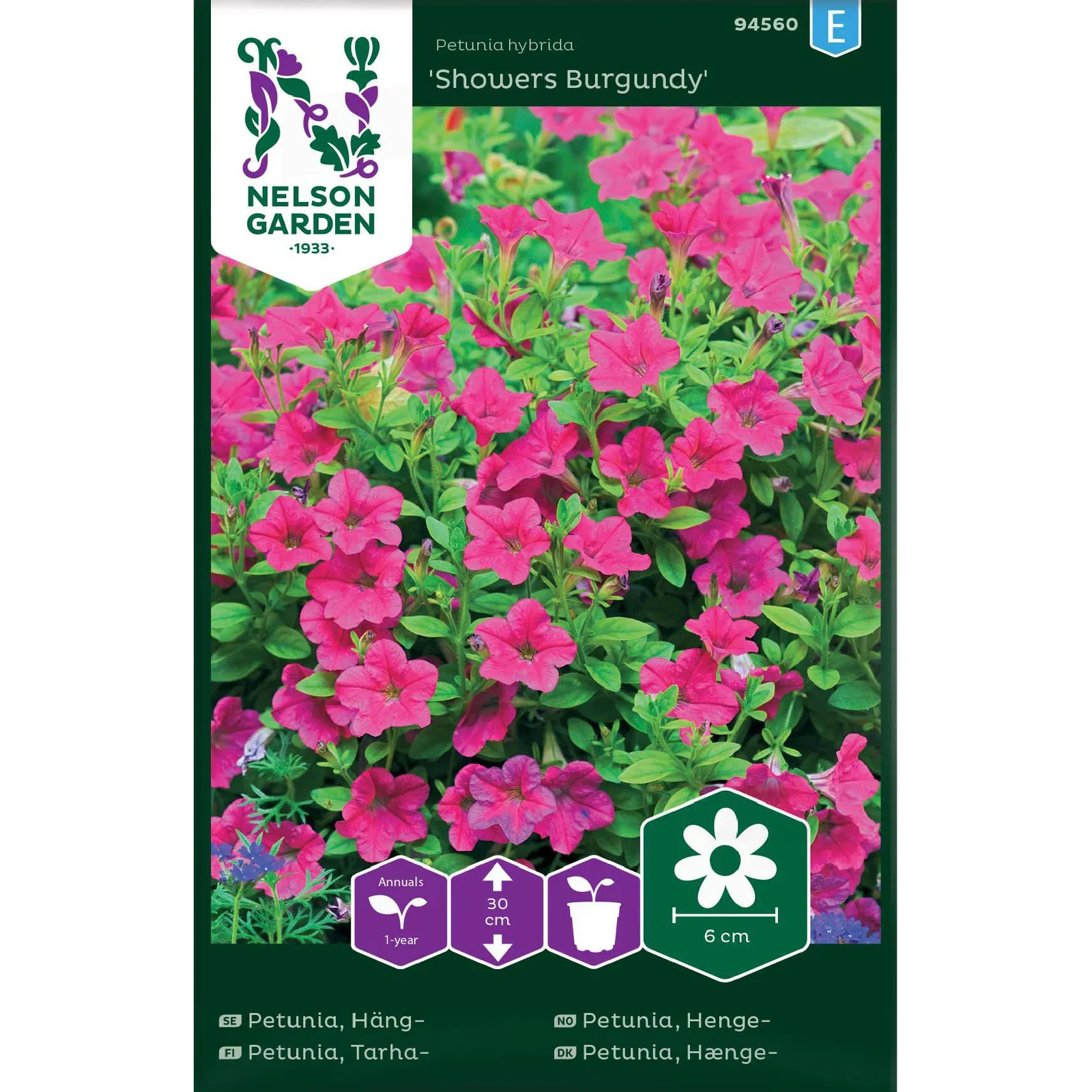 Hengepetunia 'Showers Burgundy'