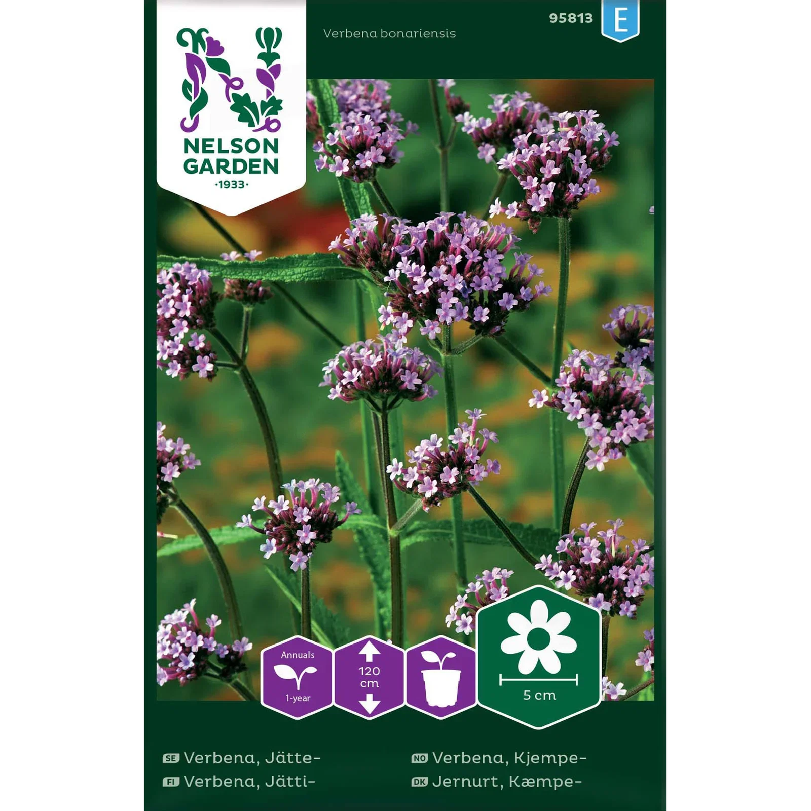 Verbena, Jätte-